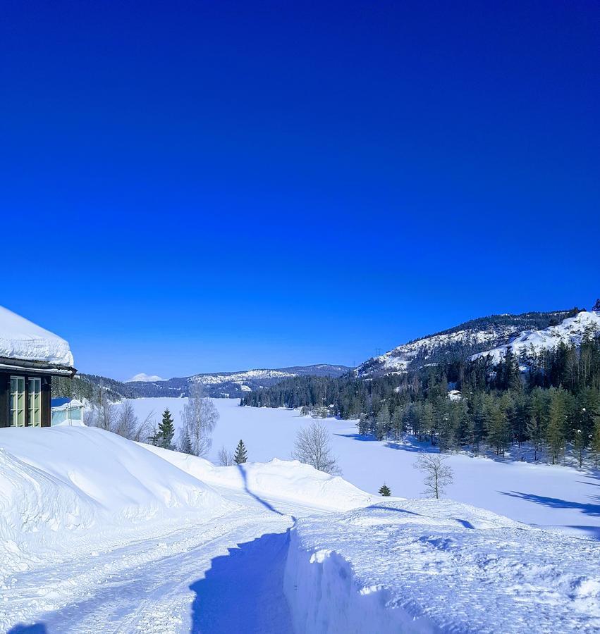 Panorama Cabin- Jacuzzi Available October 2025-May 2026 Lona Exterior photo