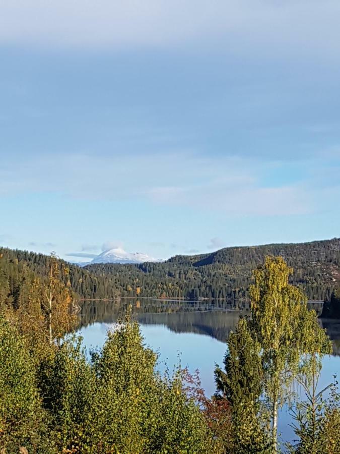 Panorama Cabin- Jacuzzi Available October 2025-May 2026 Lona Exterior photo